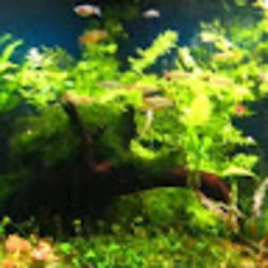 Meet your Posher, Jay